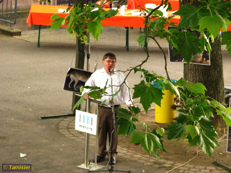 2008-06-08 15-52-11.JPG - Expeditionsmuseum